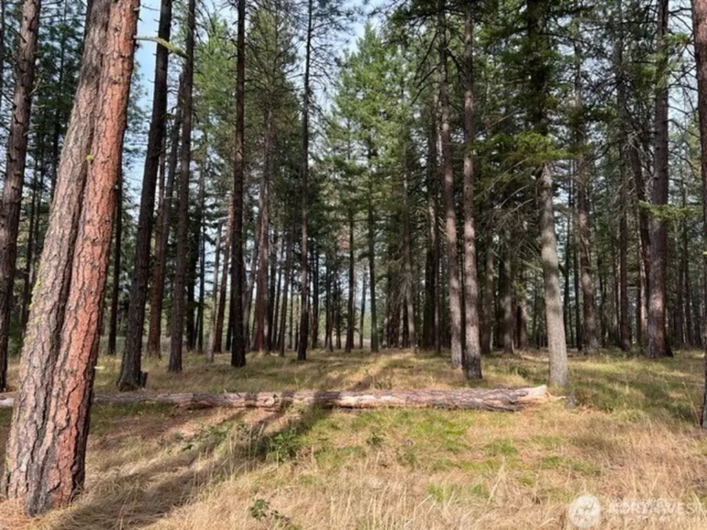 0 Unknown Cle Elum WA 98922