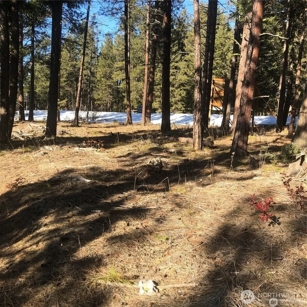 0 Unknown Cle Elum WA 98922