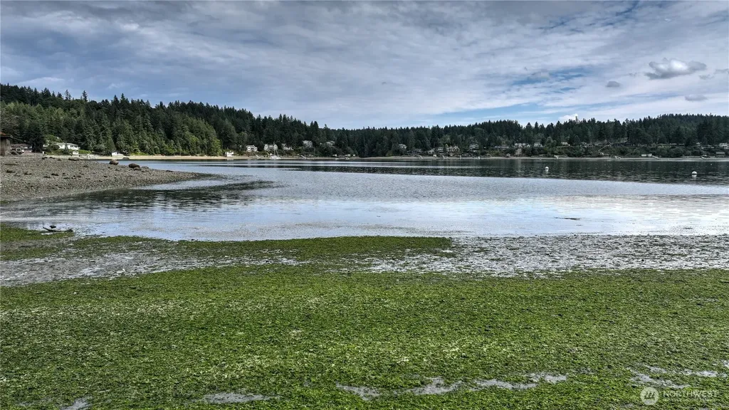 2415 48th Avenue Gig Harbor WA 98335