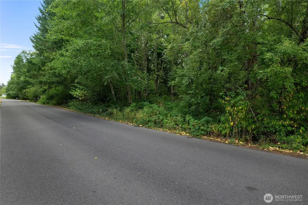 823 Tipsoo Loop S Rainier WA 98576