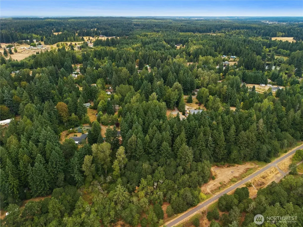 823 Tipsoo Loop S Rainier WA 98576