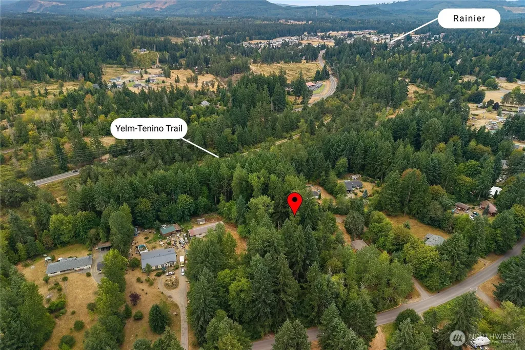 823 Tipsoo Loop S Rainier WA 98576