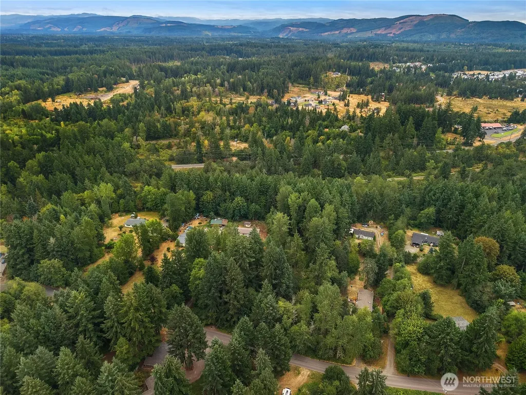 823 Tipsoo Loop S Rainier WA 98576