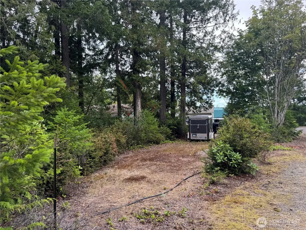 31 Hood Place Brinnon WA 98320