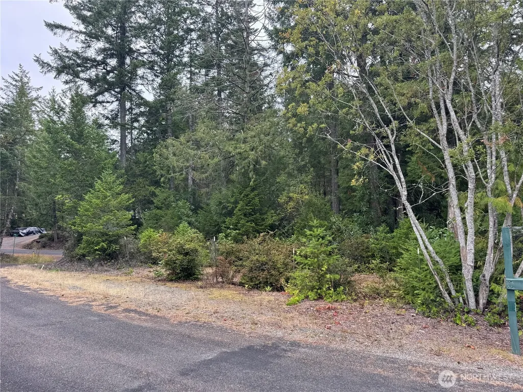 31 Hood Place Brinnon WA 98320