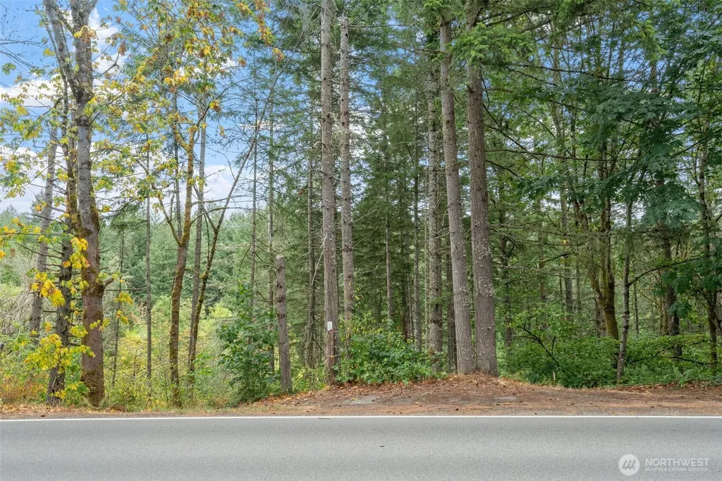 17614 Clearlake Boulevard SE Yelm WA 98597