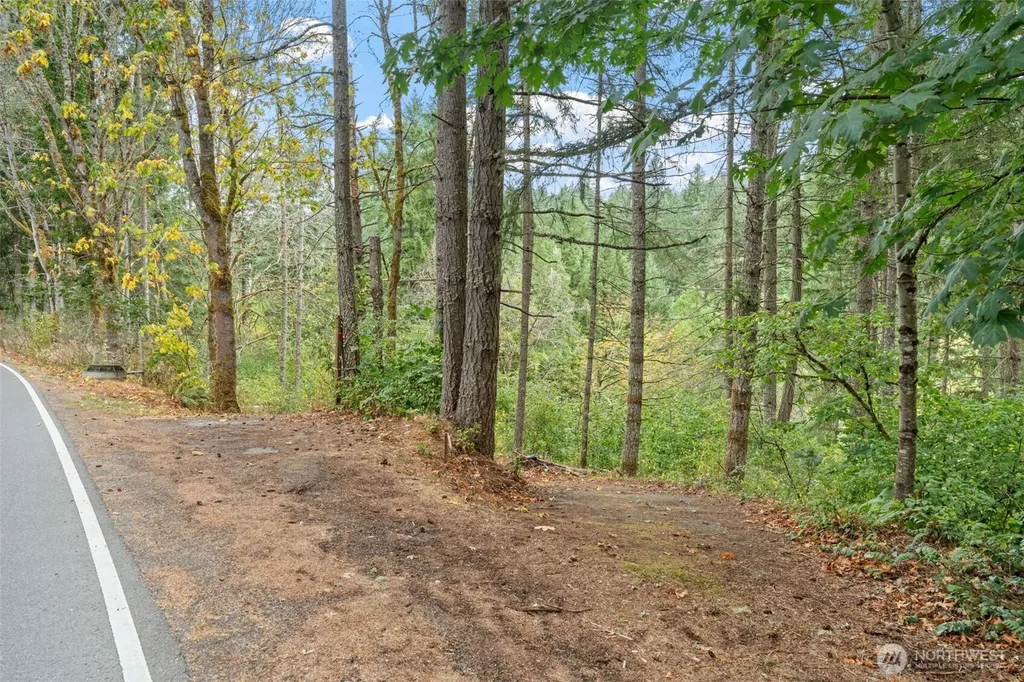 17614 Clearlake Boulevard SE Yelm WA 98597