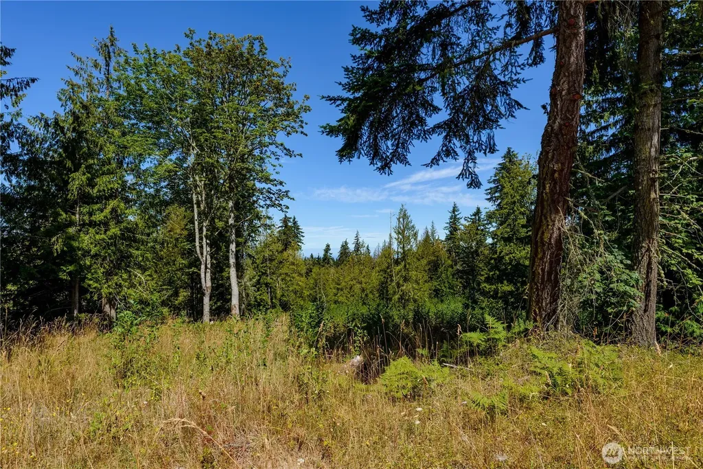 0 Xx Township Line Road Port Angeles WA 98362