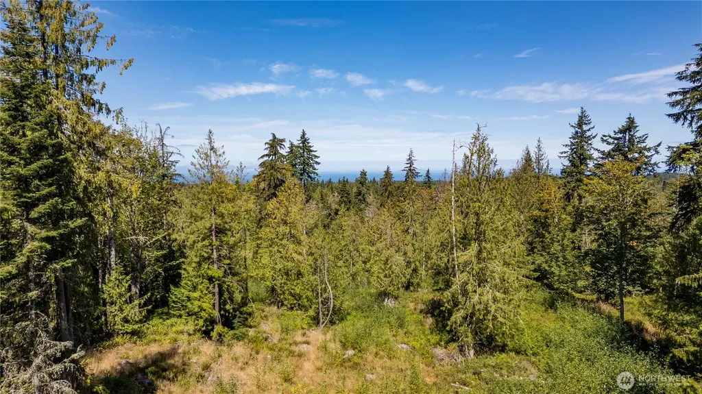 0 Xx Township Line Road Port Angeles WA 98362