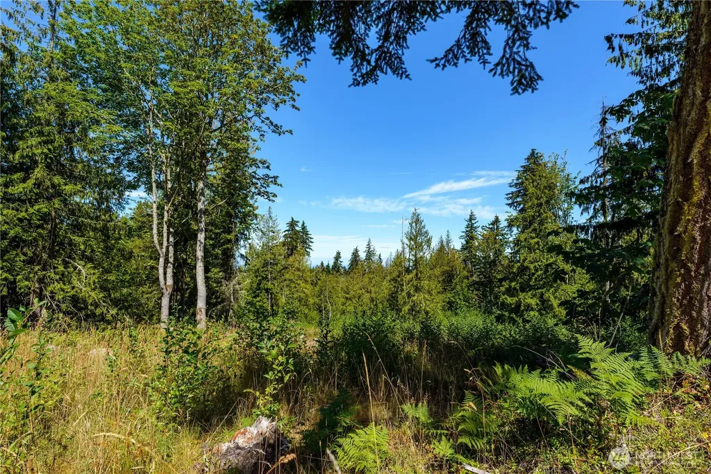 0 Xx Township Line Road Port Angeles WA 98362