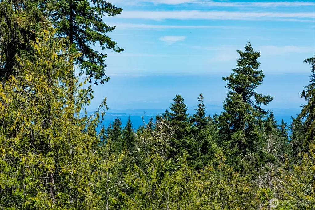 0 Xx Township Line Road Port Angeles WA 98362