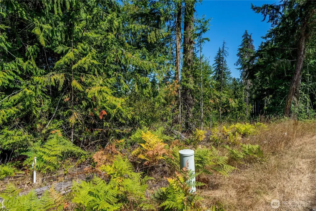 0 Xx Township Line Road Port Angeles WA 98362