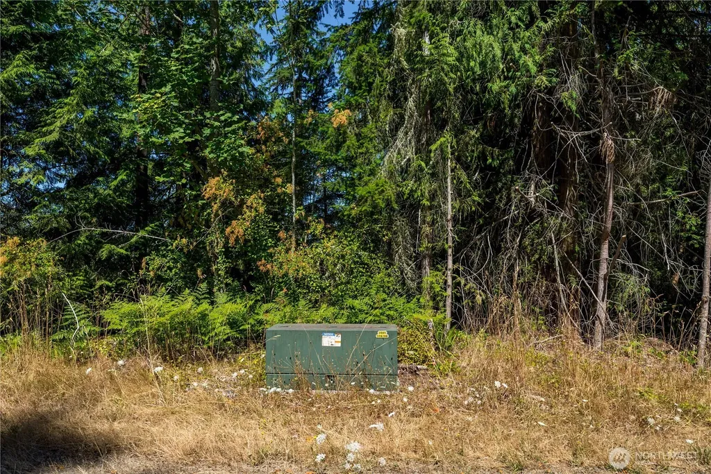 0 Xx Township Line Road Port Angeles WA 98362