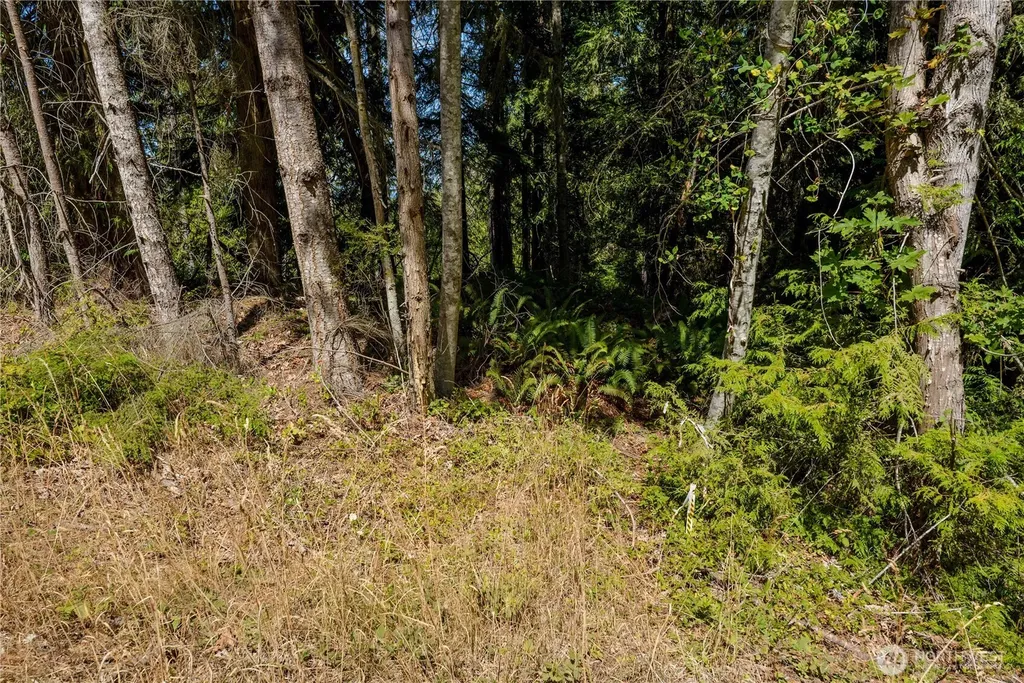 0 Xx Township Line Road Port Angeles WA 98362