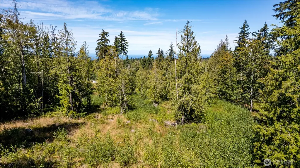 0 Xx Township Line Road Port Angeles WA 98362