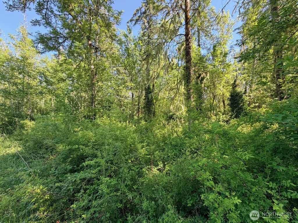 2721 158th Avenue SW Lakebay WA 98340