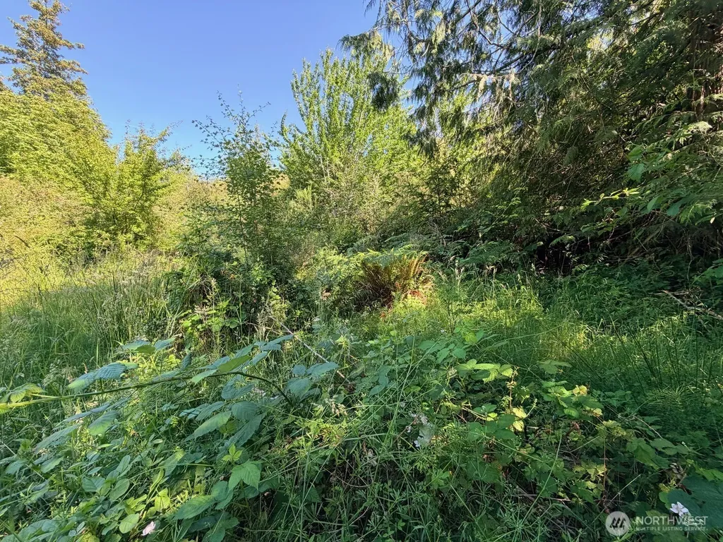 2721 158th Avenue SW Lakebay WA 98340