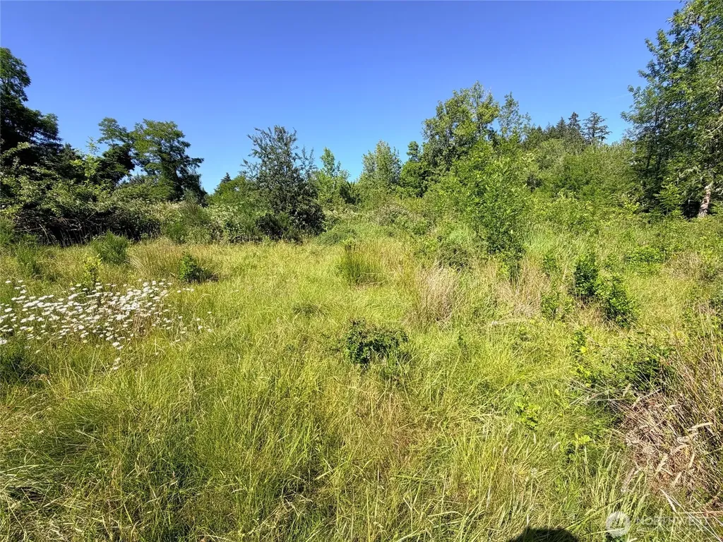 2721 158th Avenue SW Lakebay WA 98340