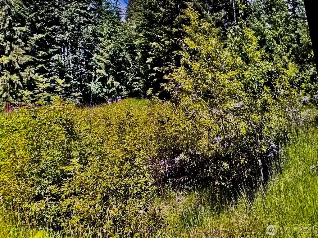 2721 158th Avenue SW Lakebay WA 98340