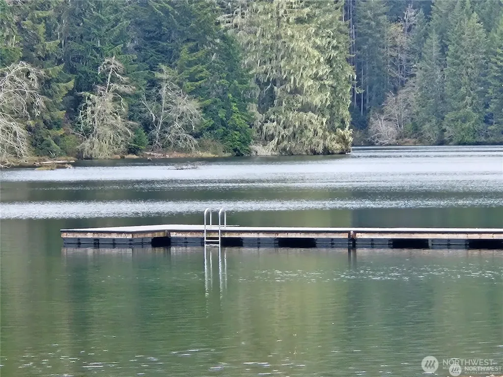 131 N Buckhorn Way Hoodsport WA 98548