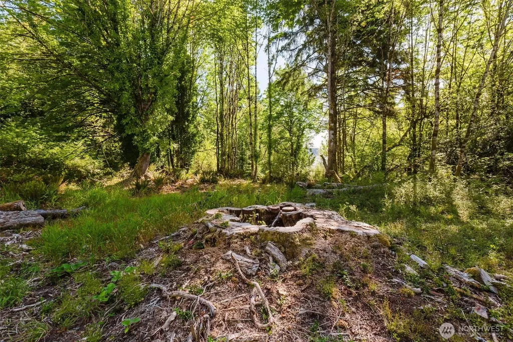 7817 E Hilldale Road Port Orchard WA 98366