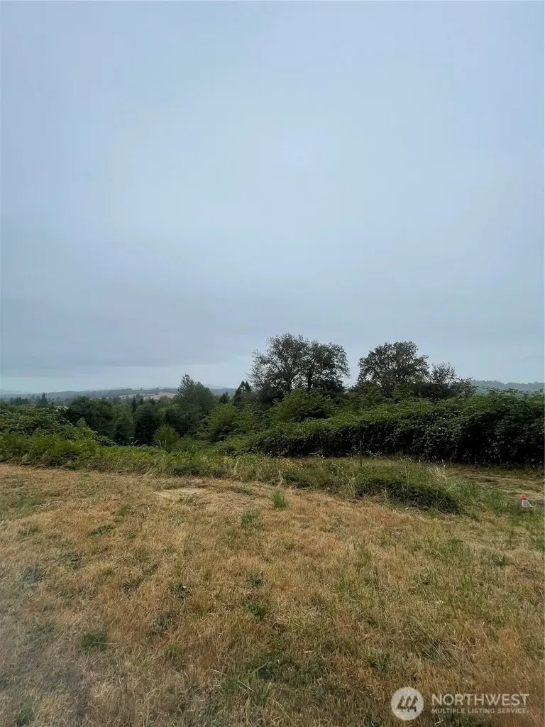 47 Alexander Road Raymond WA 98577