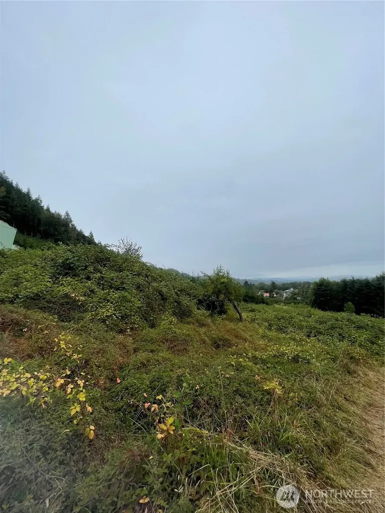 47 Alexander Road Raymond WA 98577