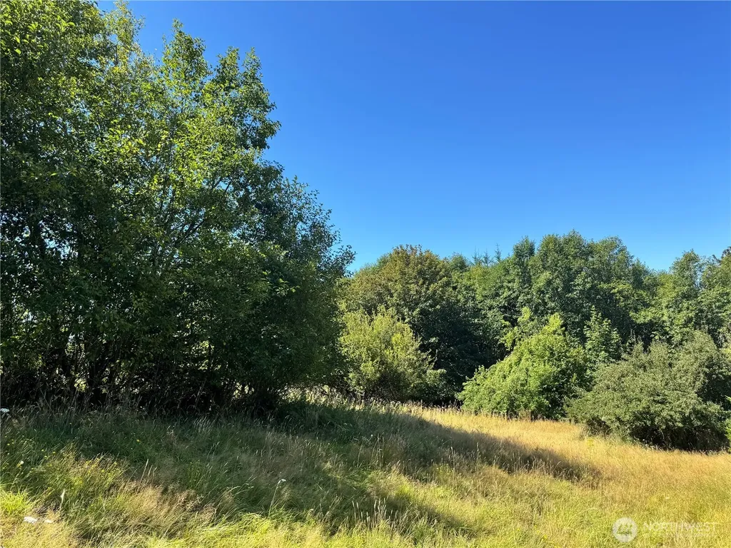 106 Bridgeview Lane Longview WA 98632