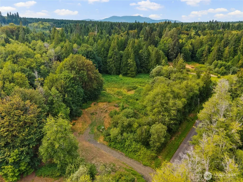 3211 W Little Egypt Shelton WA 98584