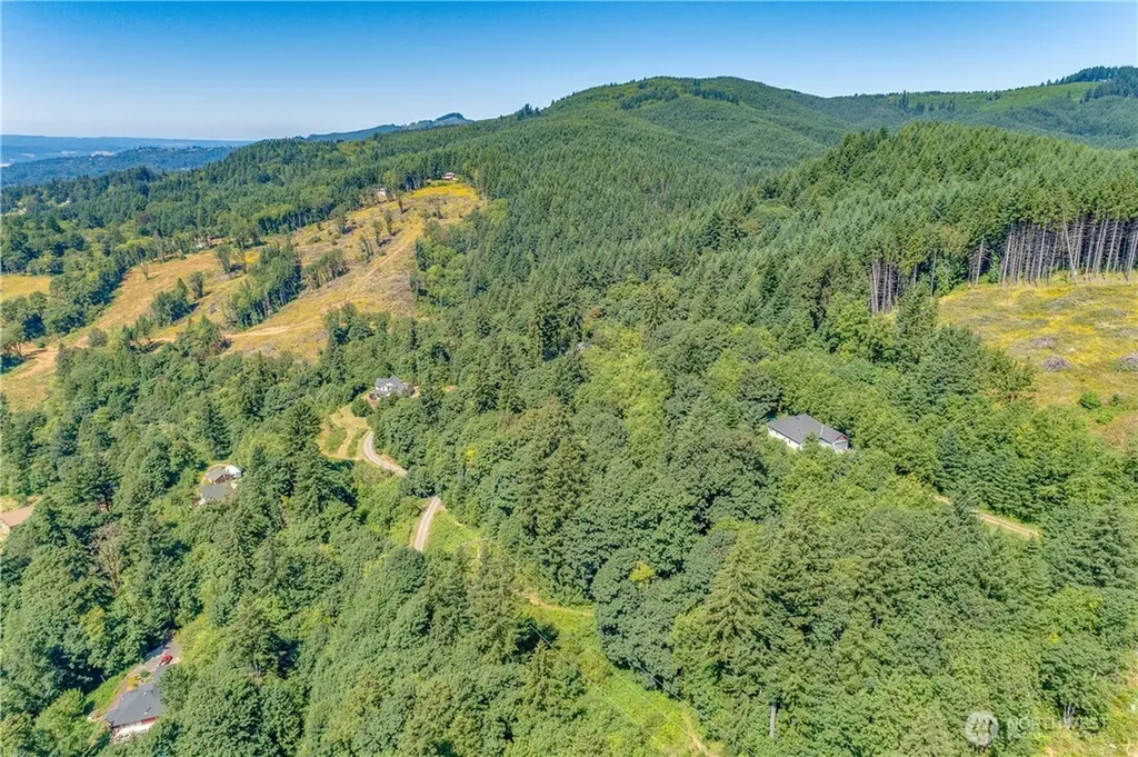 393 Hansen Ext Road Woodland WA 98674