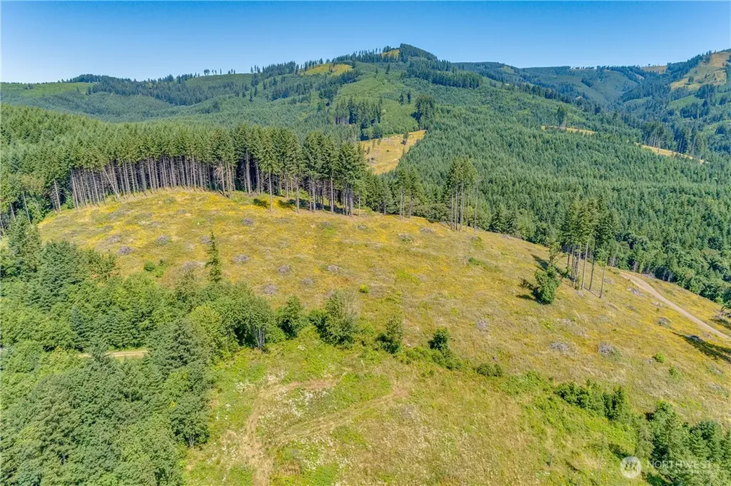 393 Hansen Ext Road Woodland WA 98674