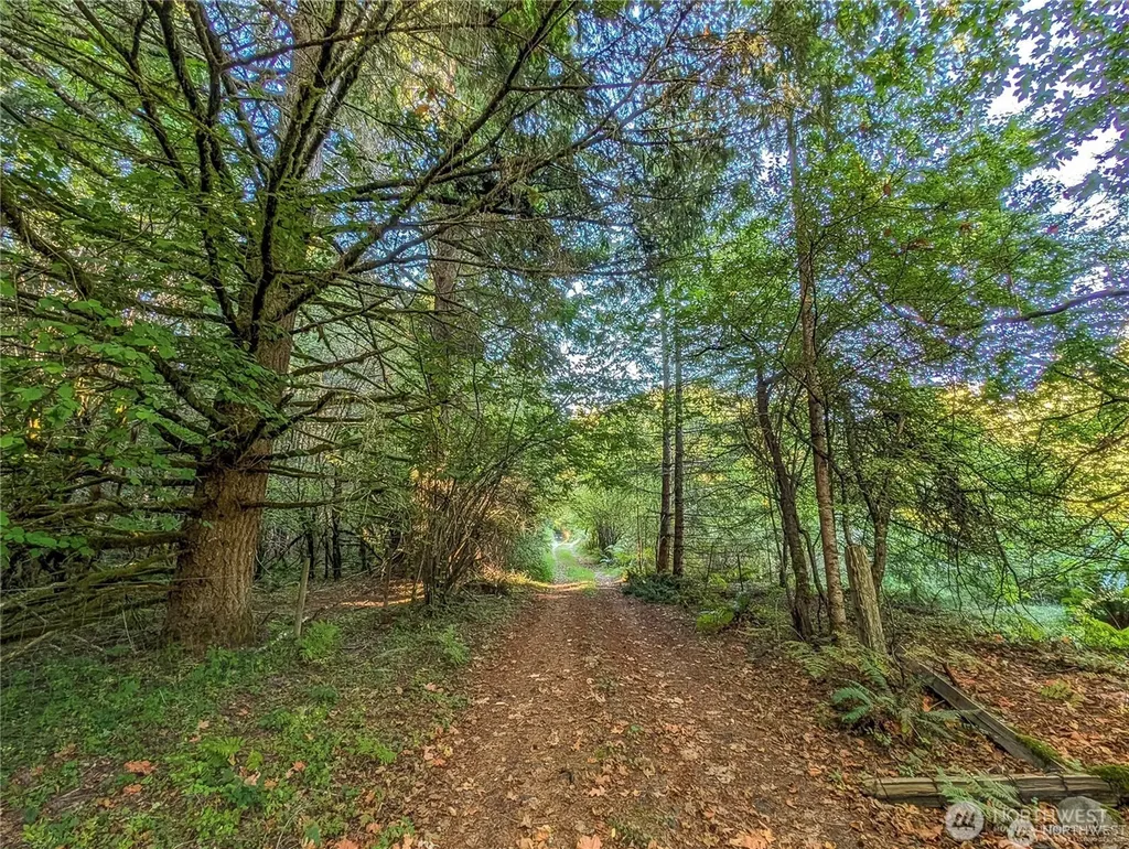202 Kauer Road Randle WA 98377