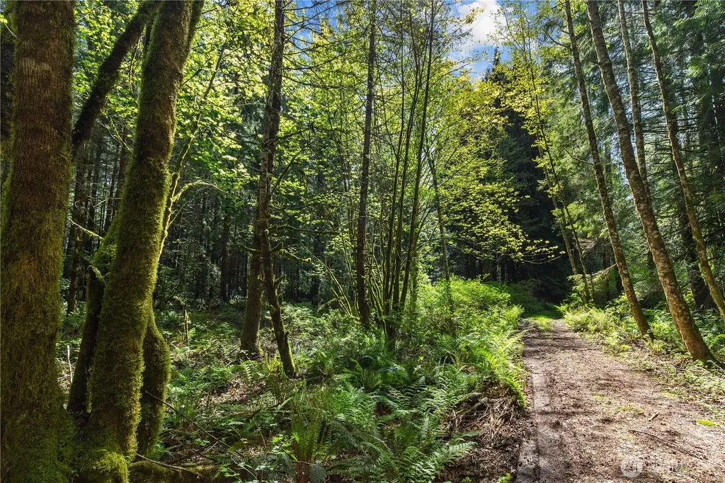 27525 W Lake Riley Road Arlington WA 98223