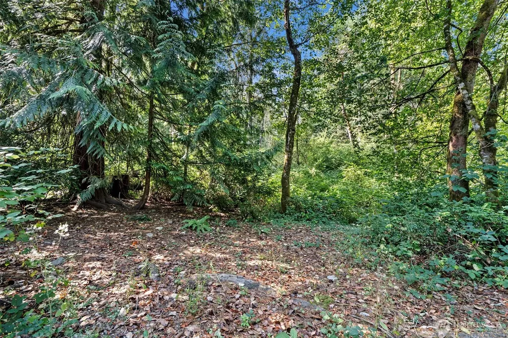 18220 70th Street Ct SW Longbranch WA 98351