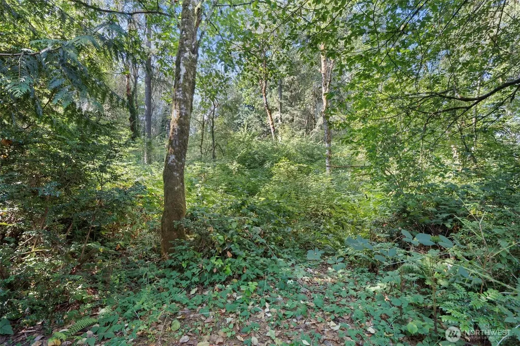 18220 70th Street Ct SW Longbranch WA 98351