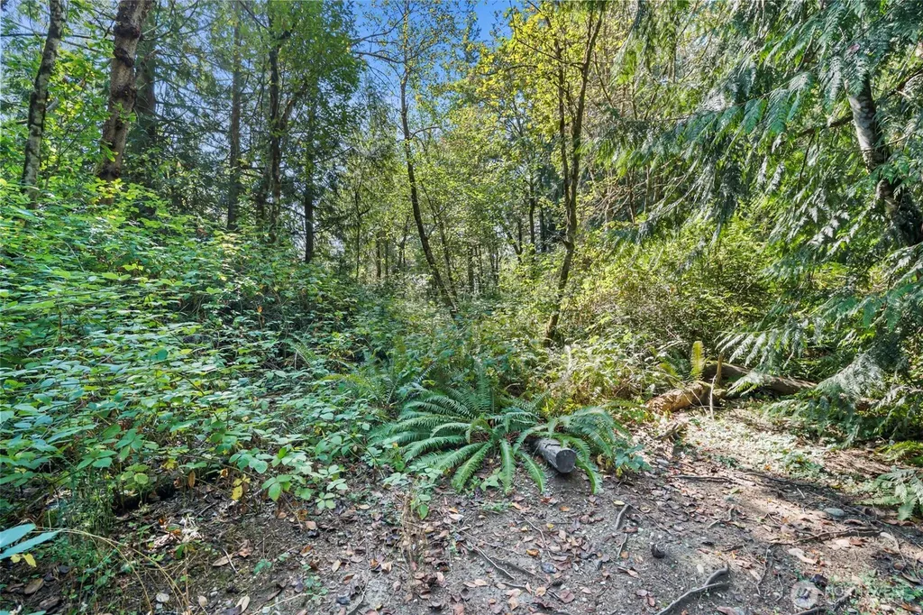 18220 70th Street Ct SW Longbranch WA 98351