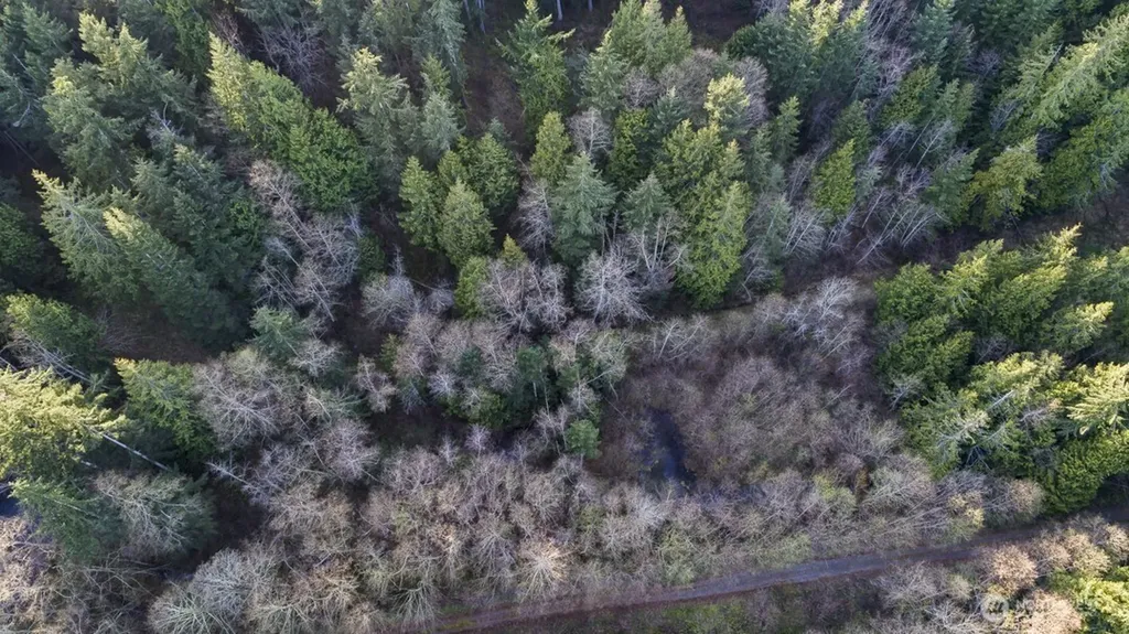 3 Lakewood Park Anacortes WA 98221