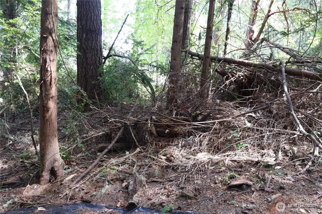 3659 Green Mountain Road NW Bremerton WA 98312