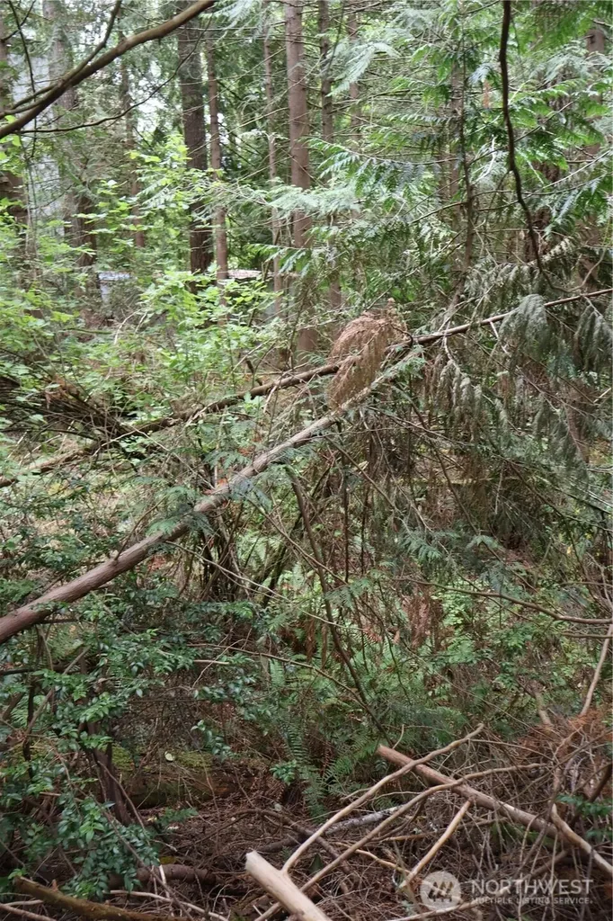 3659 Green Mountain Road NW Bremerton WA 98312