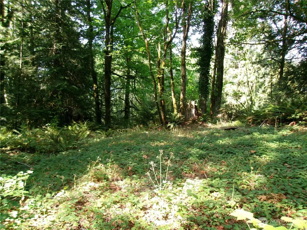 6724 SE Sedgwick Road Port Orchard WA 98366