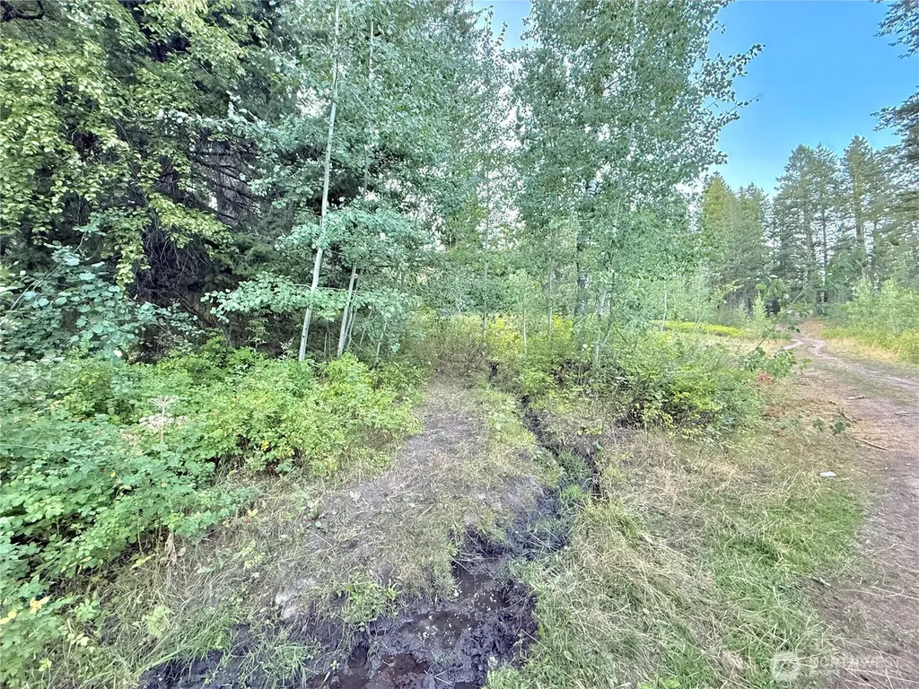 0 Tbd Buzzard Lake Road Okanogan WA 98840
