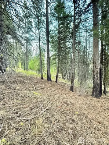 0 Tbd Buzzard Lake Road Okanogan WA 98840