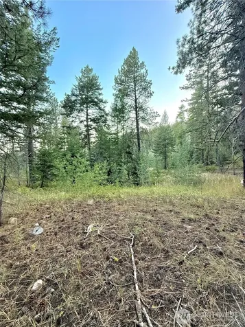 0 Tbd Buzzard Lake Road Okanogan WA 98840