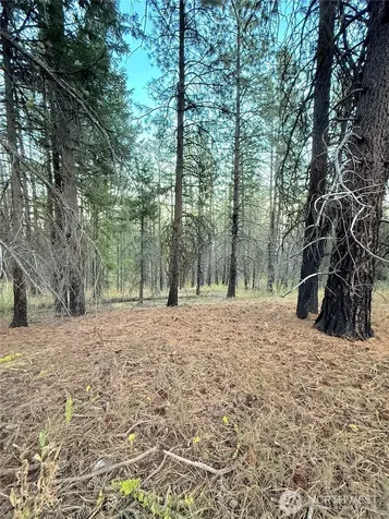 0 Tbd Buzzard Lake Road Okanogan WA 98840