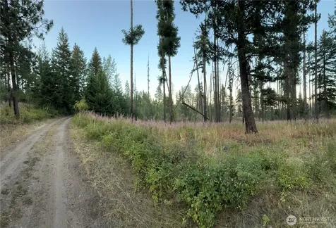 0 Tbd Buzzard Lake Road Okanogan WA 98840