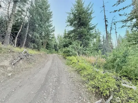 0 Tbd Buzzard Lake Road Okanogan WA 98840