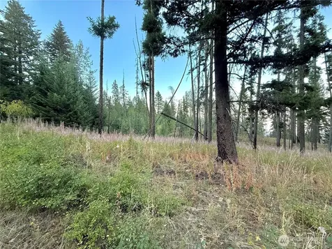 0 Tbd Buzzard Lake Road Okanogan WA 98840
