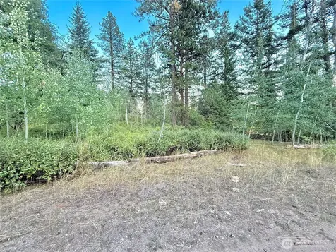 0 Tbd Buzzard Lake Road Okanogan WA 98840