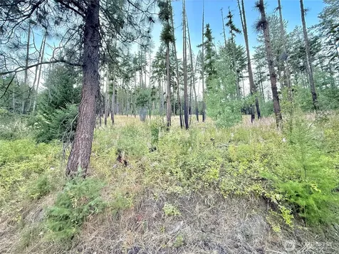 0 Tbd Buzzard Lake Road Okanogan WA 98840