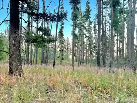0 Tbd Buzzard Lake Road Okanogan WA 98840